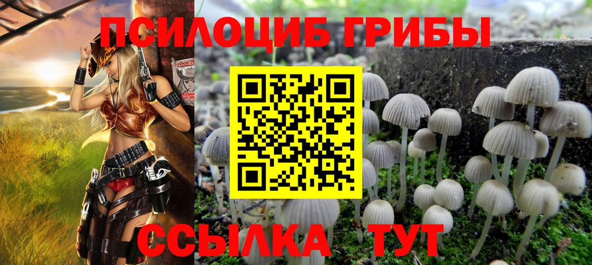 Псилоцибиновые грибы Cubensis Новотроицк
