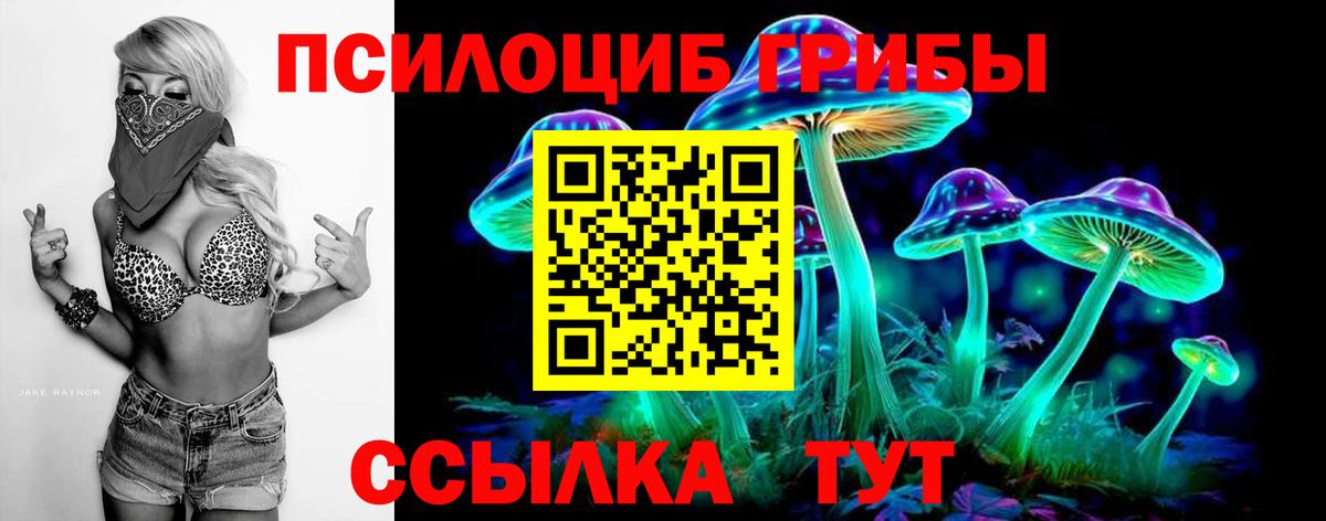 Псилоцибиновые грибы MAGIC MUSHROOMS  где можно купить наркотик  Новотроицк  Вход с VPN 